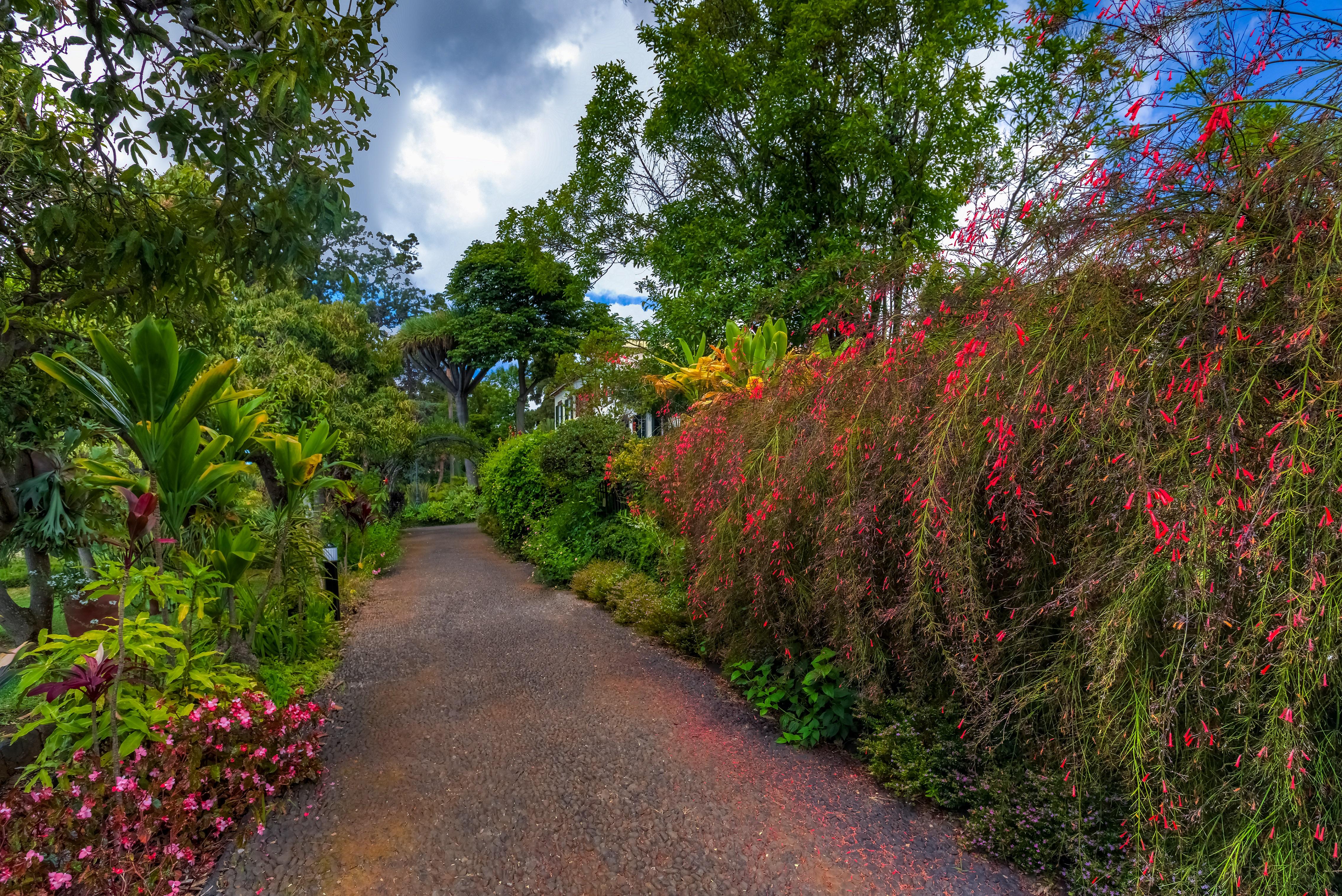 Quinta Jardins Do Lago Funchal  Exterior photo The main path through the gardens