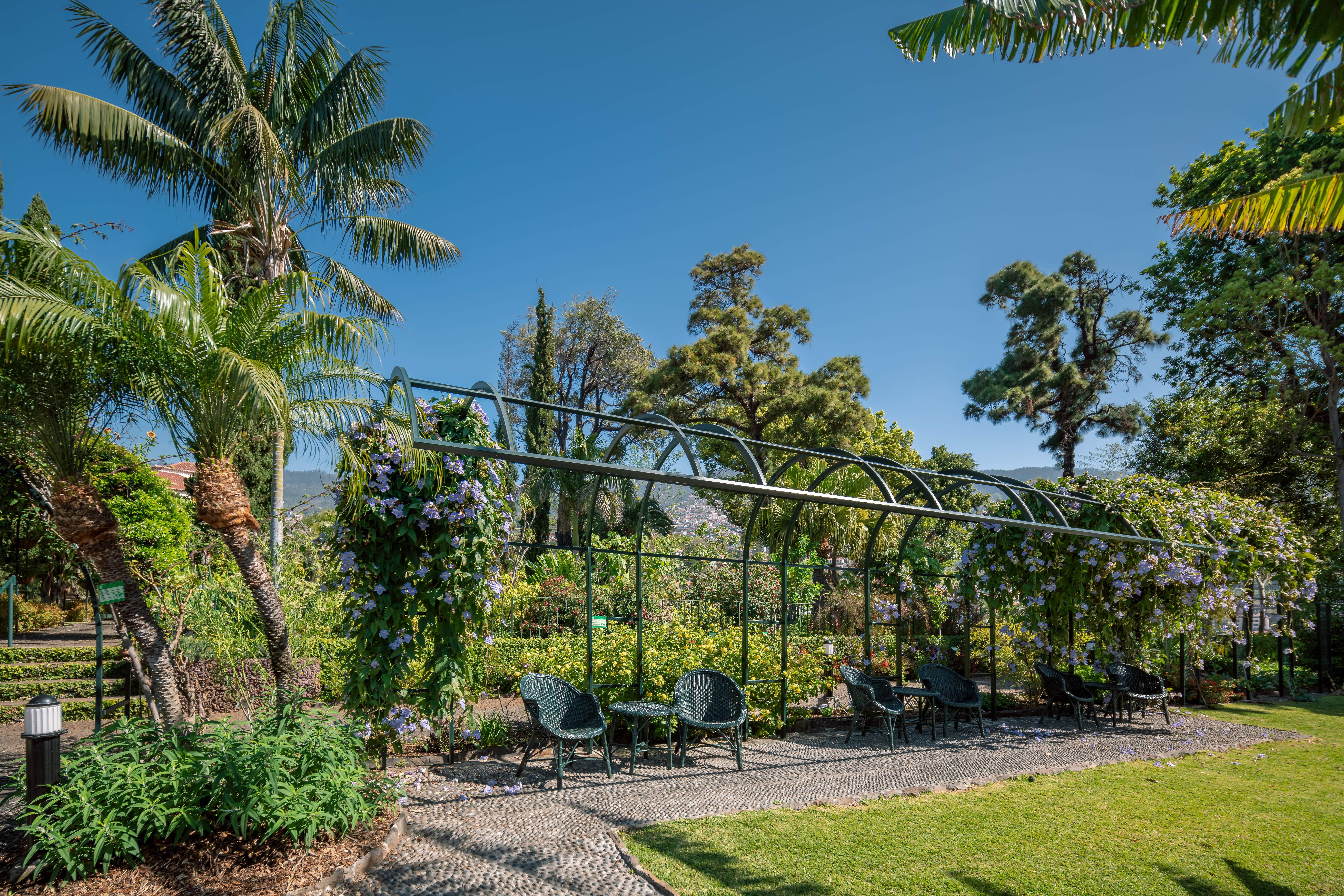 Quinta Jardins Do Lago Funchal  Exterior photo The Wisteria Arbor