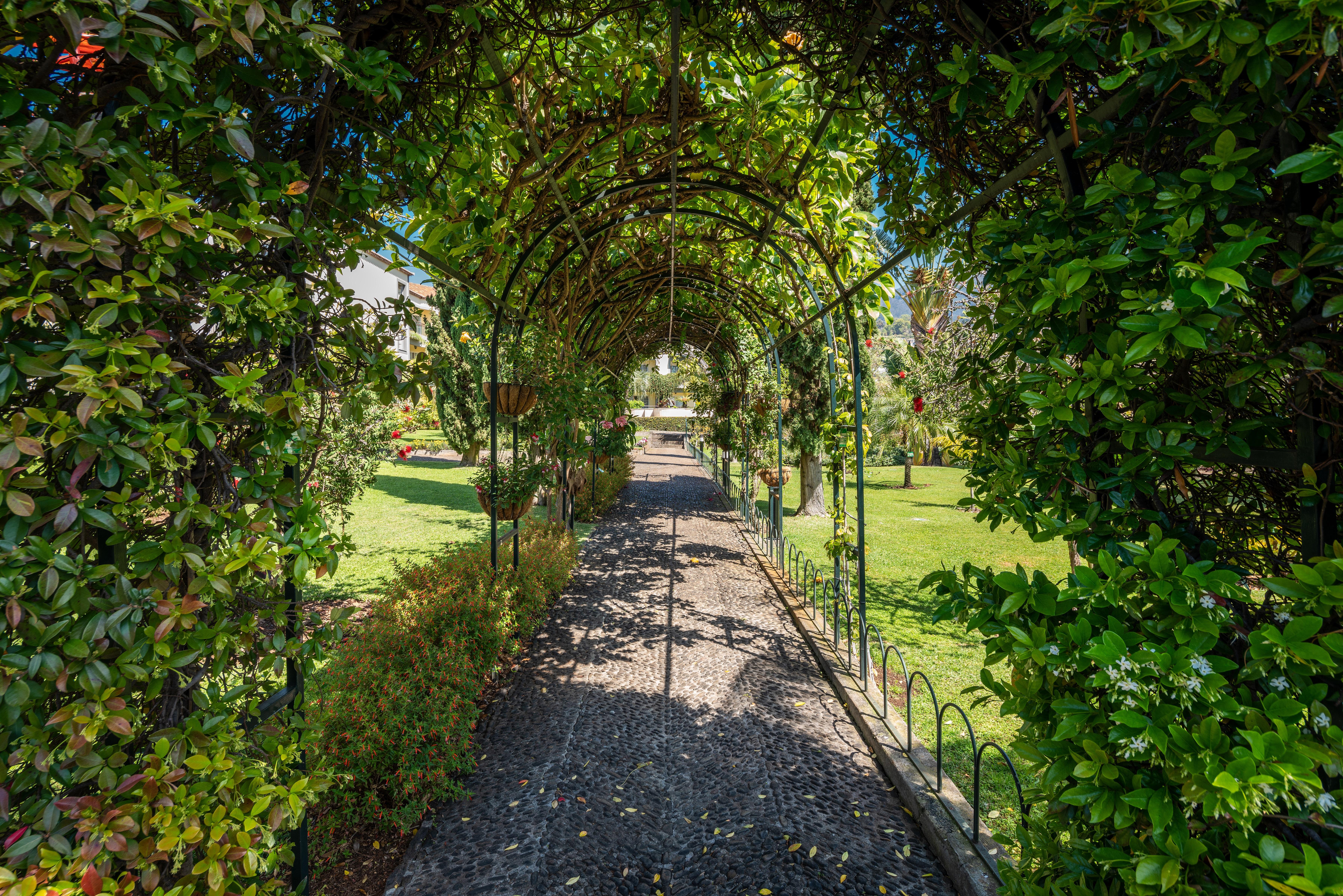 Quinta Jardins Do Lago Funchal  Exterior photo The Pergola